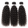 Burmese Curly Bundles